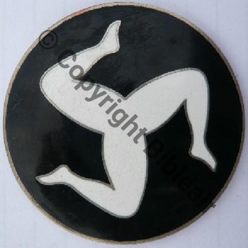 A1447  1982 A1447NH 602e GIA  SPA.bi.2  REFRAPPE R.82 08012 Bol allonge Guilloche Sc.alexdck 